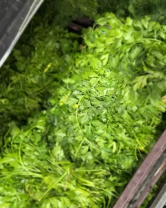 fresh parsley and dill at israeli market card 11